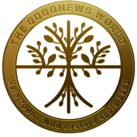 Prophet Uebert Angel Official Website For Uebert Angel